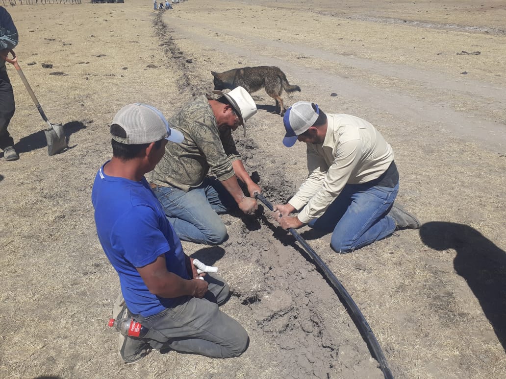 Apoya Municipio a ganaderos del sector social en la conducción de agua