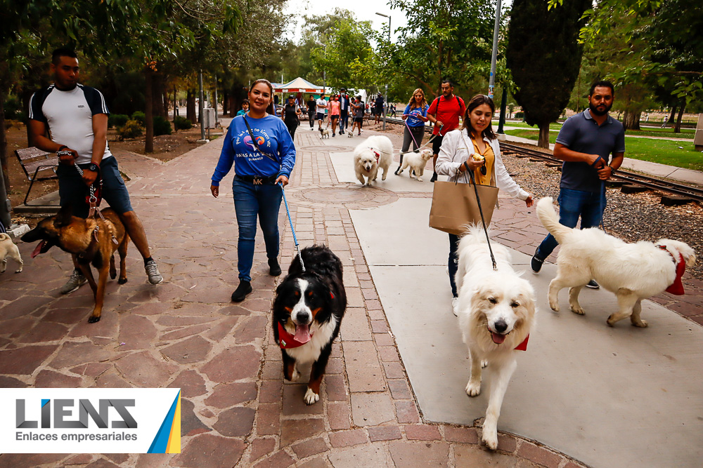 Segunda caminata canina en nuestra ciudad de Durango