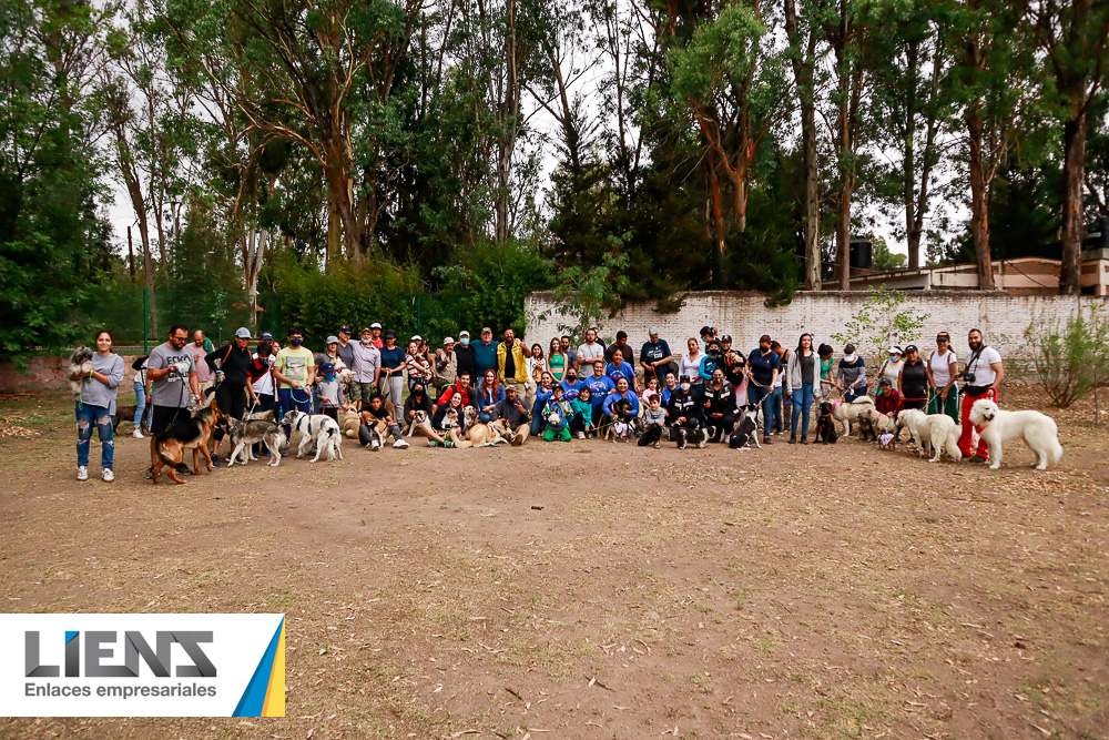 Perritos sanos, familias felices, Patas a la Obra.